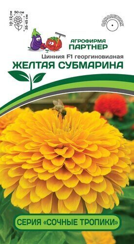 Цинния Желтая субмарина F1 Сочные тропики георгоновидная 4шт (Партнер)