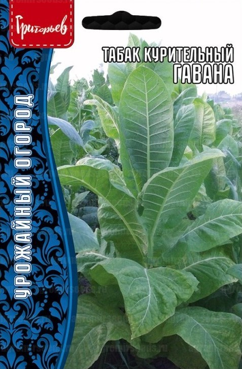Табак Гавана курительный  Большая грядка 0,01г (Ред.Сем)