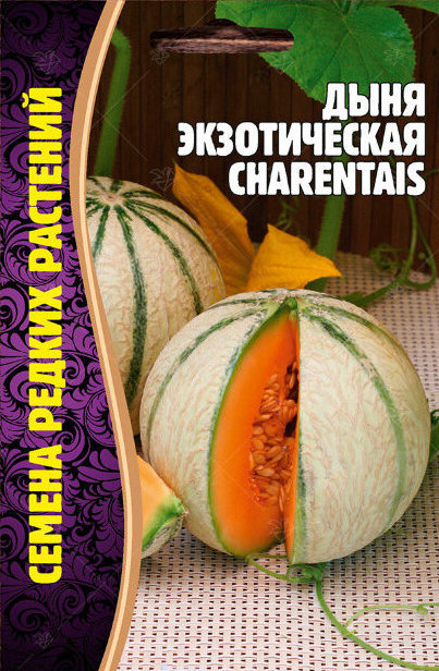 Дыня Charentais экзотическая 15шт (Ред.сем)