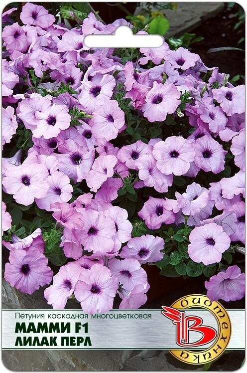 Петуния МАММИ Лилак Перл каскадная однолетник 5шт (Биотехника)