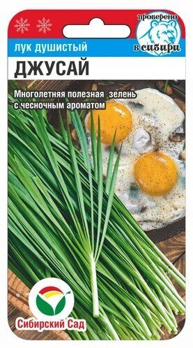 Лук Душистый Джусай 0,5г (Сиб Сад)