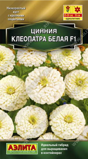 Цинния Клеопатра F1 белая однолетник 12шт (Аэлита)