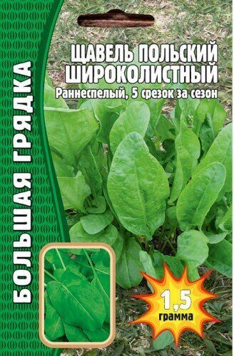 Щавель Польский широколистный Большая грядка 1,5 гр (Ред.сем)