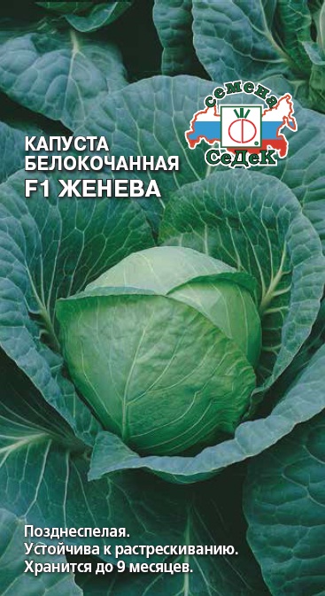 Капуста белокочанная Женева F1 (Седек)