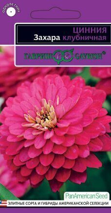 Цинния Захара Клубничная однолетник 5шт (Гавриш)