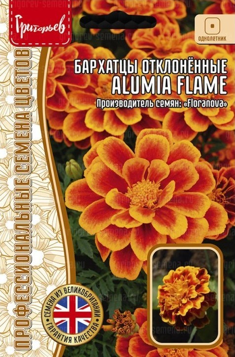 Бархатцы Alumia Flame отклоненные однолетник 5шт (Ред.Сем)