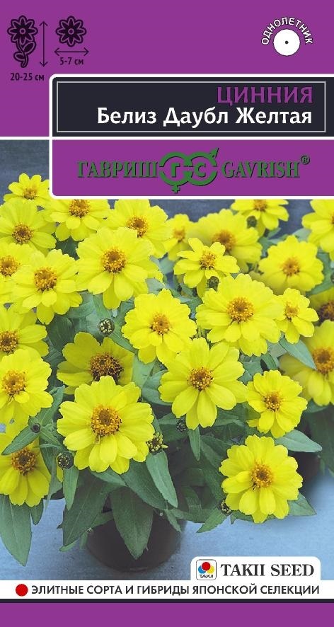 Цинния Белиз даубл желтая эксклюзив 5шт (Гавриш)