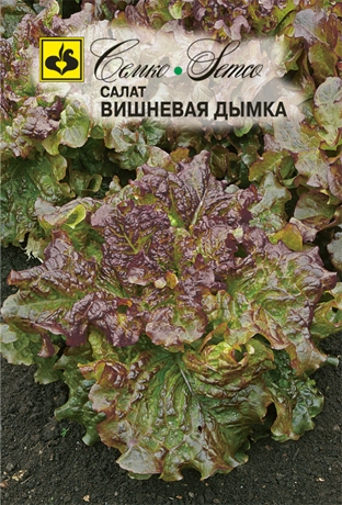 Салат Вишневая дымка листовой 1г (Семко)