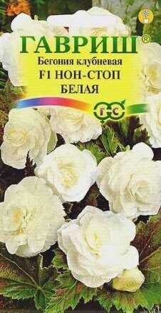 Бегония Нон-стоп F1 белая клубневая 4шт (Гавриш)