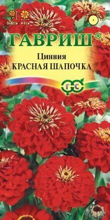 Цинния Красная шапочка лилипут 0,3г (Гавриш)