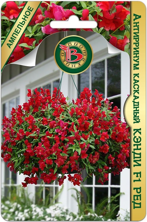 Антирринум КЭНДИ F1 Ред каскадный однолетник 15шт (Биотехника)