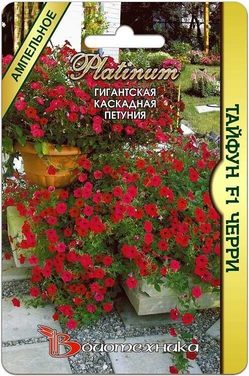Петуния ТАЙФУН F1 Черри каскадная однолетник 5шт (Биотехника)
