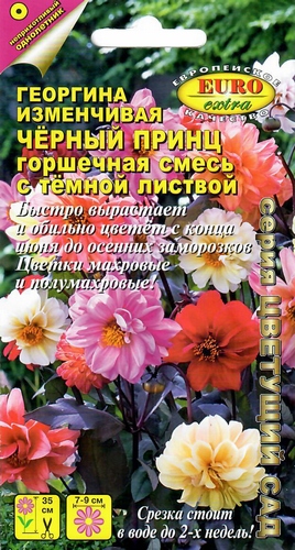 Георгина Черный принц горшечная смесь 0,2г (Аэлита Экстра)