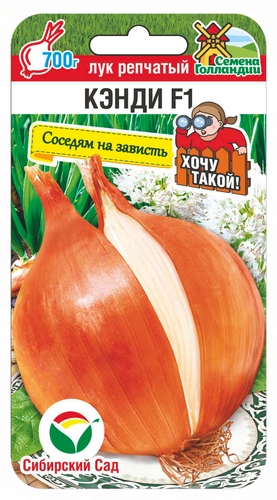 Лук репчатый Кэнди F1 60шт (Сиб Сад)