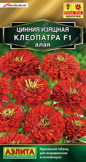 Цинния Клеопатра F1 алая низкорослая однолетник 12шт (Аэлита)