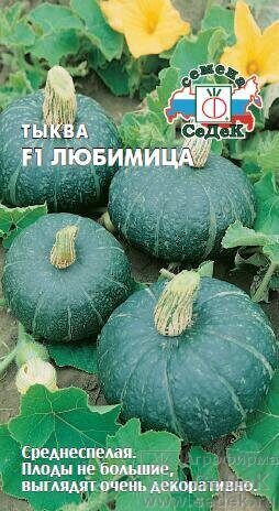 Тыква Любимица F1 1г (Седек)
