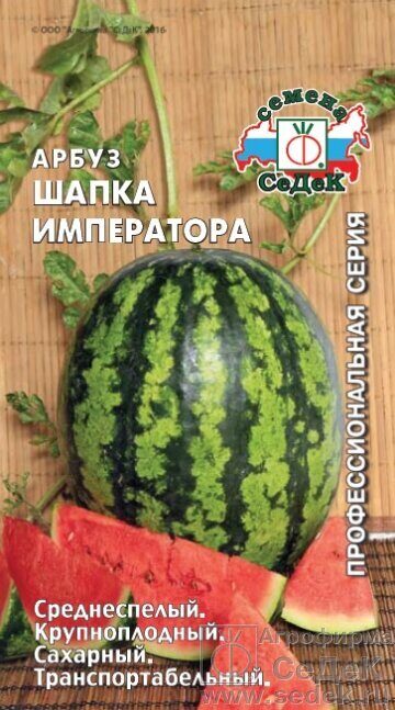 Арбуз Шапка Императора (Седек)