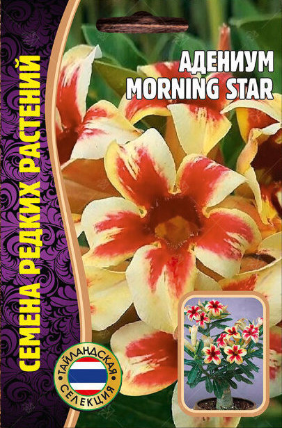 Адениум MORNING STAR 3шт (Ред.Сем)