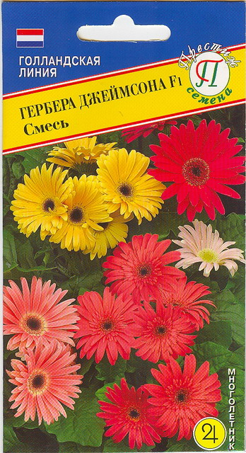 Гербера Джеймсона смесь F1 однолетник 5шт (Престиж)