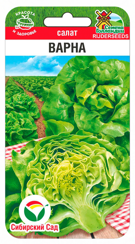Салат Варна 20шт (Сиб Сад)