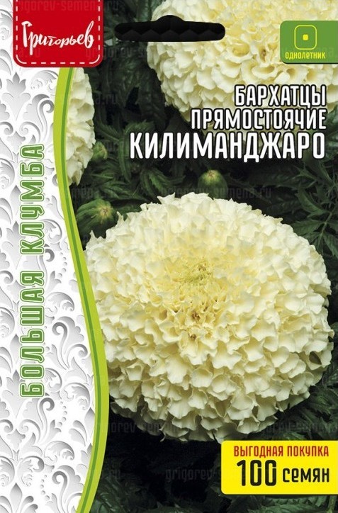 Бархатцы Килиманджаро прямостоячие большая клумба 100шт (Ред.Сем)