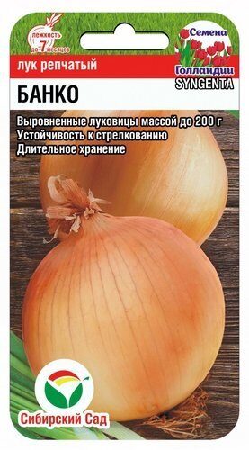 Лук репчатый Банко F1 200шт (Сиб Сад)