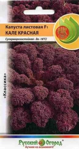 Капуста листовая Кале Красная F1 декоративная 50шт (НК)
