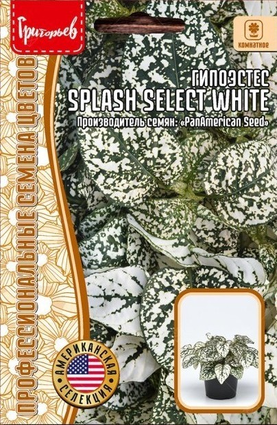 Гипоэстес Splash Select White 4шт (Ред.Сем)