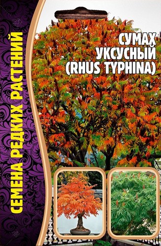 Сумах уксусный 20шт (Ред.сем)