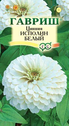 Цинния Исполин Белый 0,3г (Гавриш)
