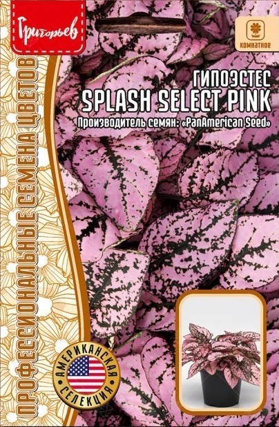 Гипоэстес Splash Select Pink 4шт (Ред.Сем)