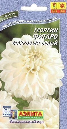 Георгина Фигаро белая низкорослая 7шт (Аэлита)