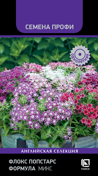 Флокс Попстарс Формула микс ПРОФИ однолетник 7шт (Поиск)