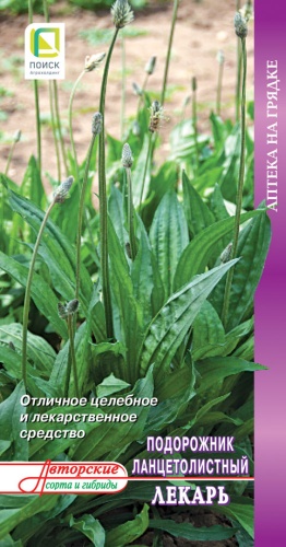 Подорожник Лекарь ланцетолистный Аптека на грядке 0,1г (Поиск)