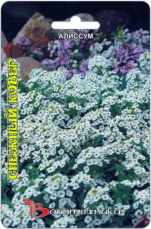 Алиссум Снежный ковер однолетник 200шт (Биотехника)
