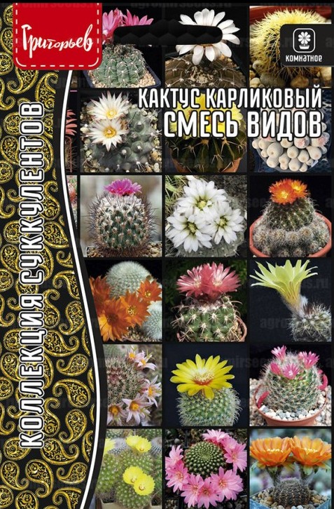 Кактус Смесь Видов карликовый 3 шт. / 12.30 г.