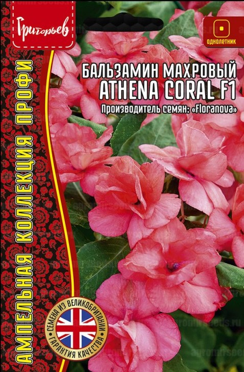 Бальзамин Уоллера Athena Coral F1 ампельный однолетник 4шт (Ред.Сем)
