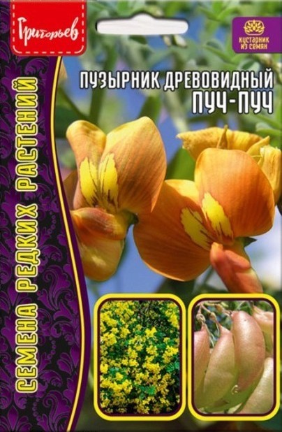 Пузырник Пуч Пуч древовидный 15шт (Ред.Сем)