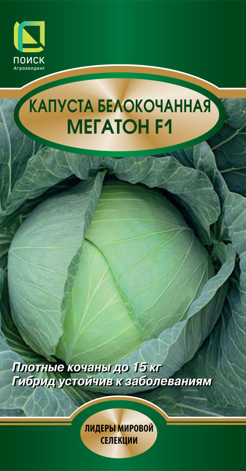 Капуста белокочанная Мегатон F1 10шт (Поиск)