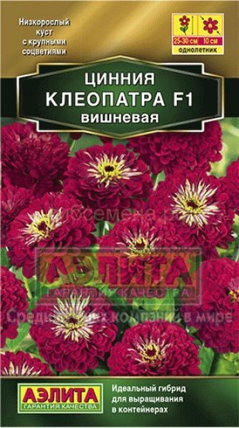 Цинния Клеопатра F1 вишневая однолетник 12шт (Аэлита)
