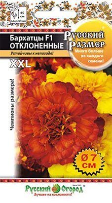 Бархатцы РУССКИЙ РАЗМЕР F1 отклоненные смесь однолетник 10шт(НК)