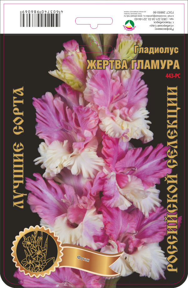 Гладиолус Жертва Гламура 463,Фотин Экстра 1шт (Ф)