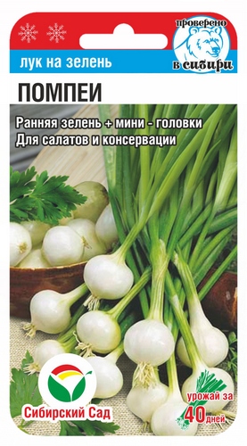 Лук на зелень Помпеи 0,5г (Сиб Сад)