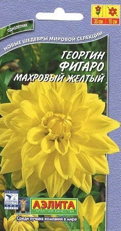 Георгина Фигаро желтая однолетник 7шт (Аэлита)