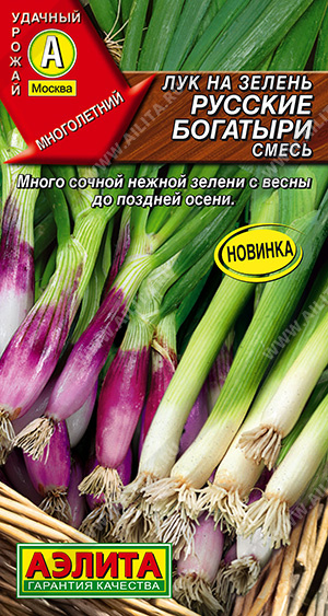 Лук на зелень Русские богатыри смесь 1г (Аэлита)