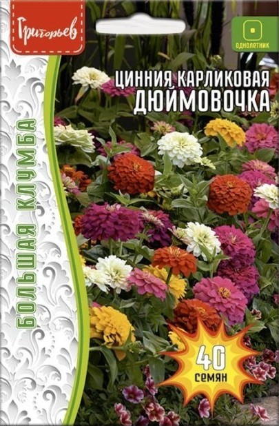 Цинния Дюймовочка карликовая Большая клумба однолетник 40шт (Ред.Сем)
