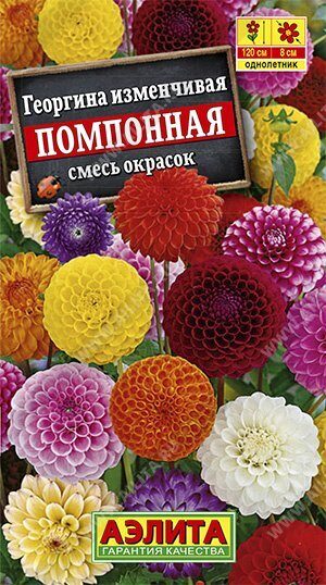 Георгина Помпонная смесь однолетник 0,25г (АэлитаЭкстра)