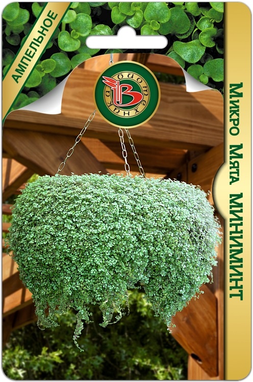 Мята Миниминт Микро 5шт (Биотехника)