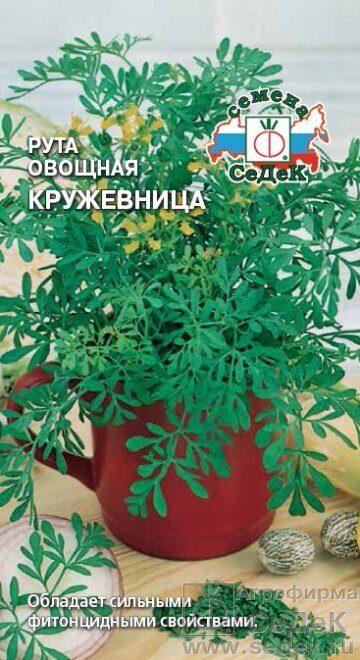 Петрушка листовая Кружевница 2г (Седек)