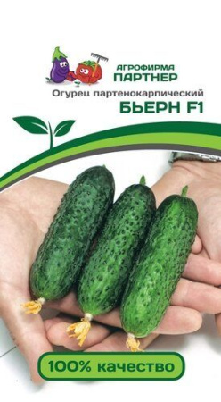 Огурец Бьерн F1 5шт (Партнер)